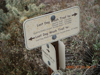 Lost Dog Wash - sign