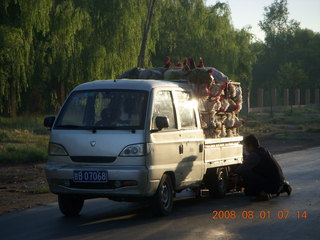 eclipse - Jiuquan morning run - chickens and a flat tire