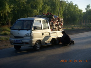 eclipse - Jiuquan morning run- chickens and a flat tire