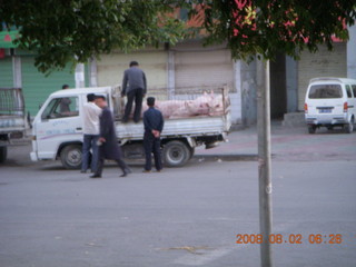 7 6l2. eclipse - Jiuquan - morning run - truck with pigs