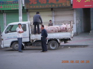 8 6l2. eclipse - Jiuquan - morning run - truck with pigs