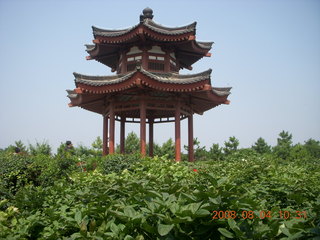 46 6l4. eclipse - Xi'an - Wild Goose Pagoda