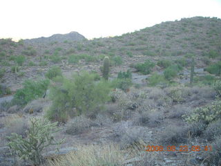 Lost Dog Wash run - giant gila-monster lizard