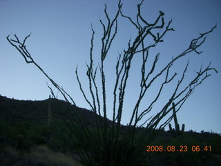 Lost Dog Wash run - giant gila-monster lizard