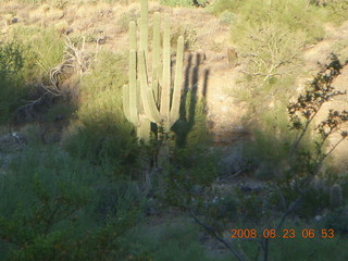 Lost Dog Wash run - giant gila-monster lizard