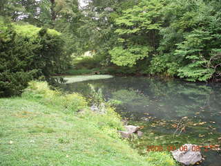 CHS-XC - Curtis Arboretum