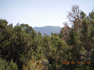 CHS-XC - program card on box of Rizzo's pizza