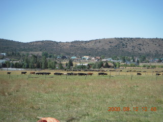 Adam on the way to Pine Valley, Utah