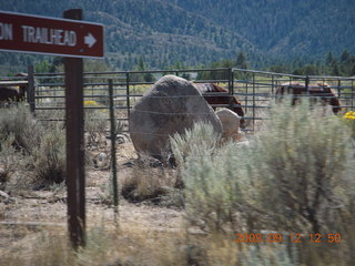 road on the way to Pine Valley, Utah