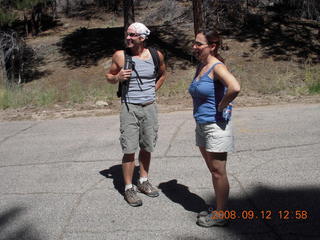 Belted Galloway (white belt) cow on the way to Pine Valley, Utah