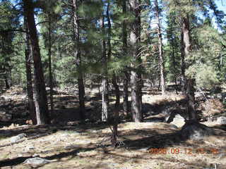 fire on the way to Pine Valley, Utah