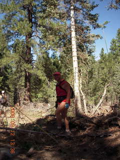 Adam hiking at Pine Valley, Utah