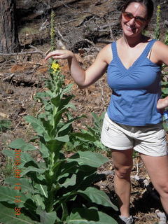 Marcelle hiking at Pine Valley, Utah