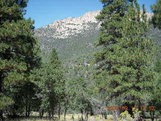 Marcelle hiking at Pine Valley, Utah
