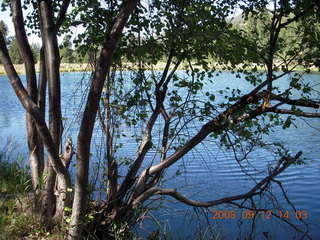 hiking at Pine Valley, Utah