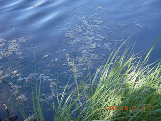 lake - hiking at Pine Valley, Utah