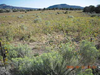 run from Kathe's and Reggie's place in Central, Utah