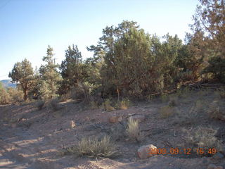 run from Kathe's and Reggie's place in Central, Utah