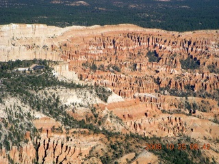 aerial - Bryce Canyon trees