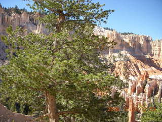 228 6nr. Bryce Canyon - Peek-A-Boo loop to Bryce Point