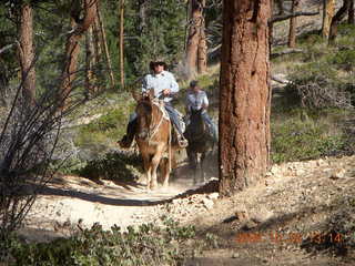 Bryce Canyon - horses and riders - Peek-A-Boo loop