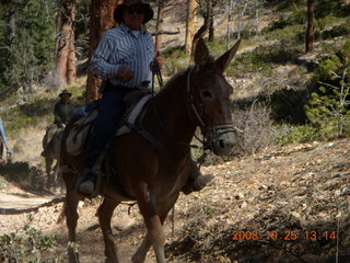 252 6nr. Bryce Canyon - horse and rider - Peek-A-Boo loop