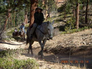254 6nr. Bryce Canyon - horse and rider - Peek-A-Boo loop
