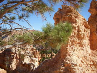 263 6nr. Bryce Canyon - Peek-A-Boo loop