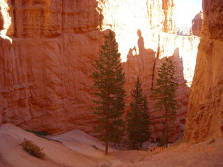 269 6nr. Bryce Canyon - Navajo loop trail