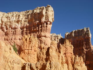295 6nr. Bryce Canyon - Navajo loop trail