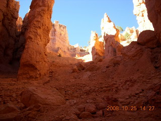 296 6nr. Bryce Canyon - Navajo loop trail