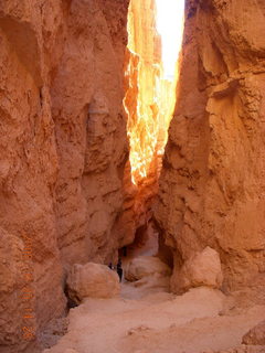 299 6nr. Bryce Canyon - Navajo loop trail