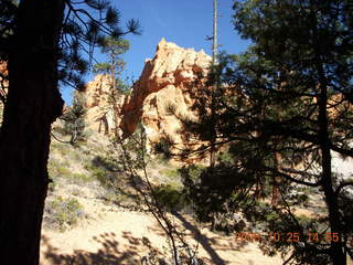 323 6nr. Bryce Canyon - Navajo to Queens Garden