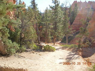 330 6nr. Bryce Canyon - Navajo to Queens Garden