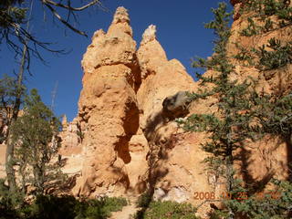 331 6nr. Bryce Canyon - Navajo to Queens Garden