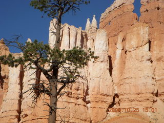 Bryce Canyon - Navajo to Queens Garden