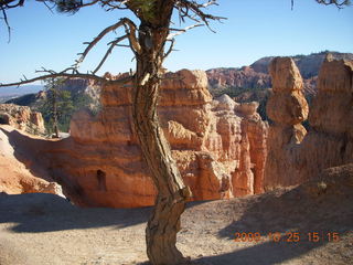 353 6nr. Bryce Canyon - Queens Garden trail
