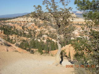 366 6nr. Bryce Canyon - Queens Garden trail