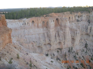 Bryce Canyon - raven and trees