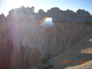 Bryce Canyon - tree cross-section - rim trail from fairyland to sunrise