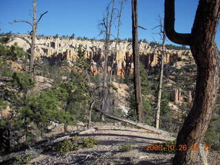 88 6ns. Bryce Canyon - Tower Bridge trail from sunrise