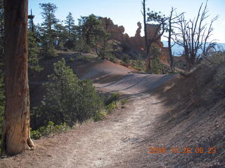 89 6ns. Bryce Canyon - Tower Bridge trail from sunrise