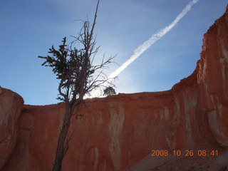 104 6ns. Bryce Canyon - Tower Bridge trail from sunrise