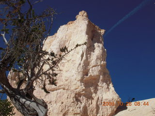 112 6ns. Bryce Canyon - Tower Bridge trail from sunrise