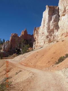 118 6ns. Bryce Canyon - Tower Bridge trail from sunrise