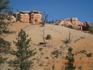 135 6ns. Bryce Canyon - Tower Bridge trail from sunrise