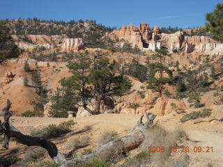 153 6ns. Bryce Canyon - Fairyland trail