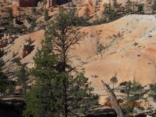 169 6ns. Bryce Canyon - Fairyland trail