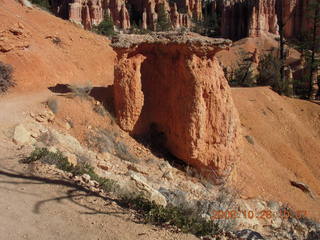 186 6ns. Bryce Canyon - Fairyland trail