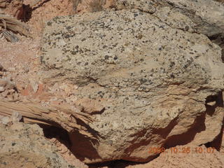 188 6ns. Bryce Canyon - Fairyland trail - cool speckled rock